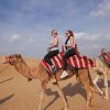 Desert Safari camel visitmytrip